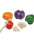 Plan Toys 5 Colours Veggie Set | The Elly Store 