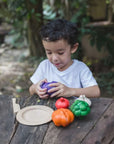 Plan Toys 5 Colours Veggie Set | The Elly Store 