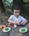 Plan Toys 5 Colours Veggie Set | The Elly Store 