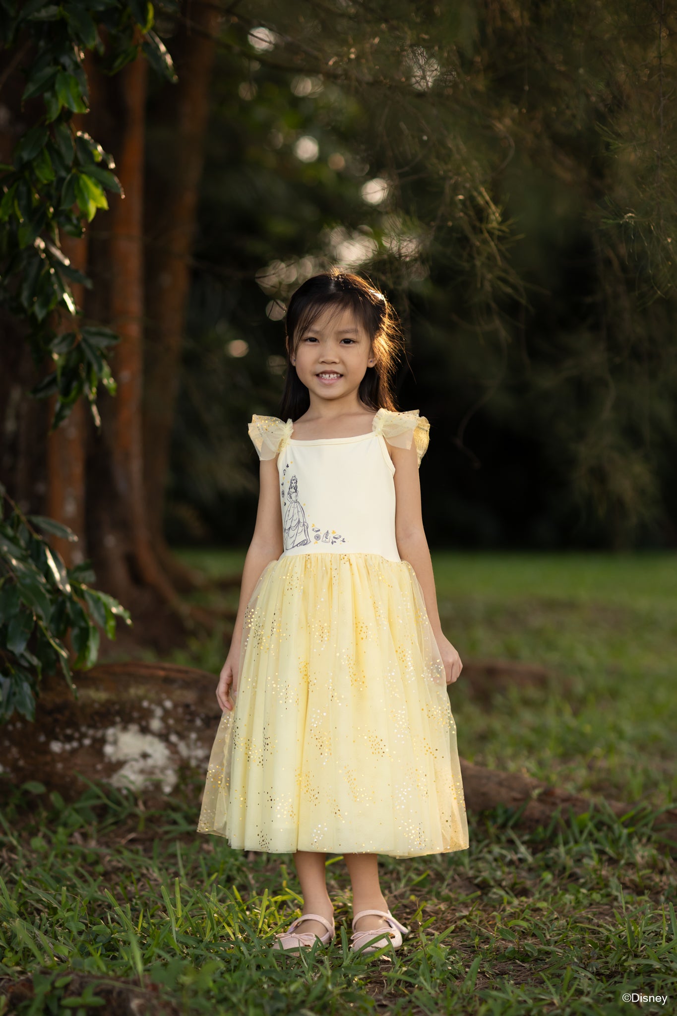 Colette Dress - Enchanted Belle