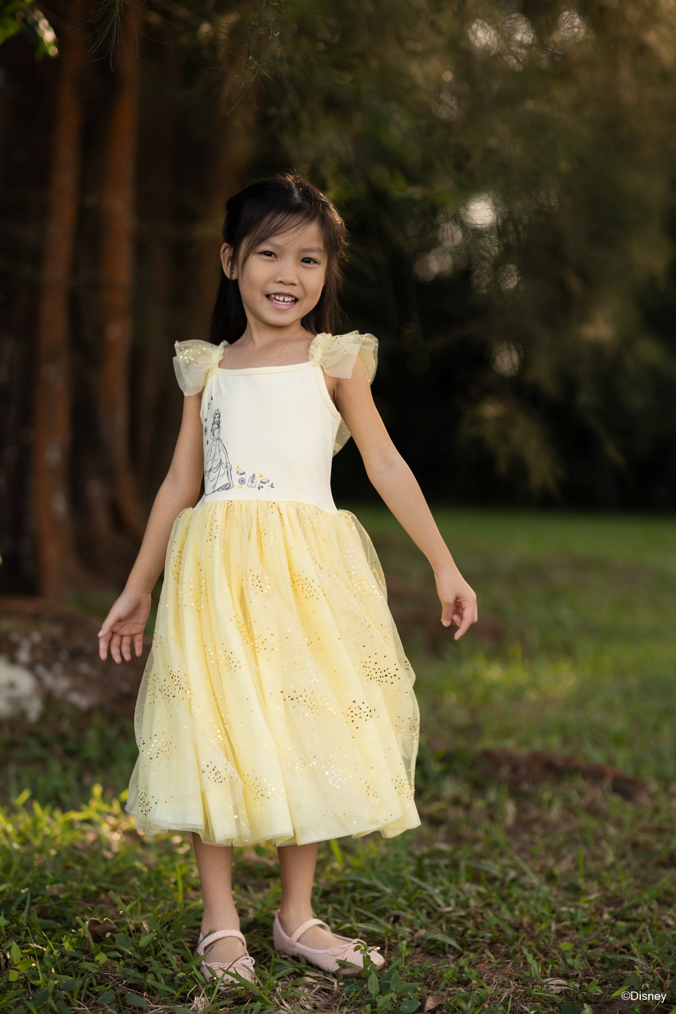 Colette Dress - Enchanted Belle