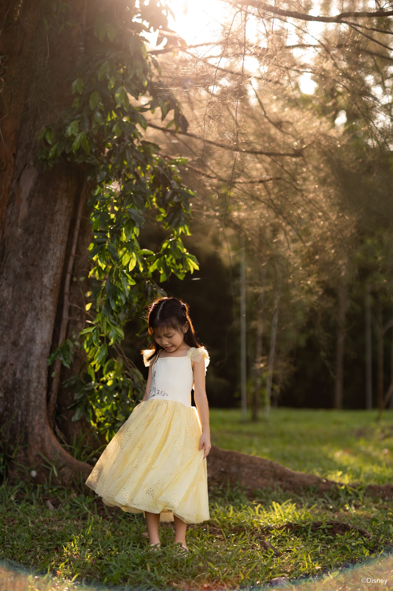 Colette Dress - Enchanted Belle