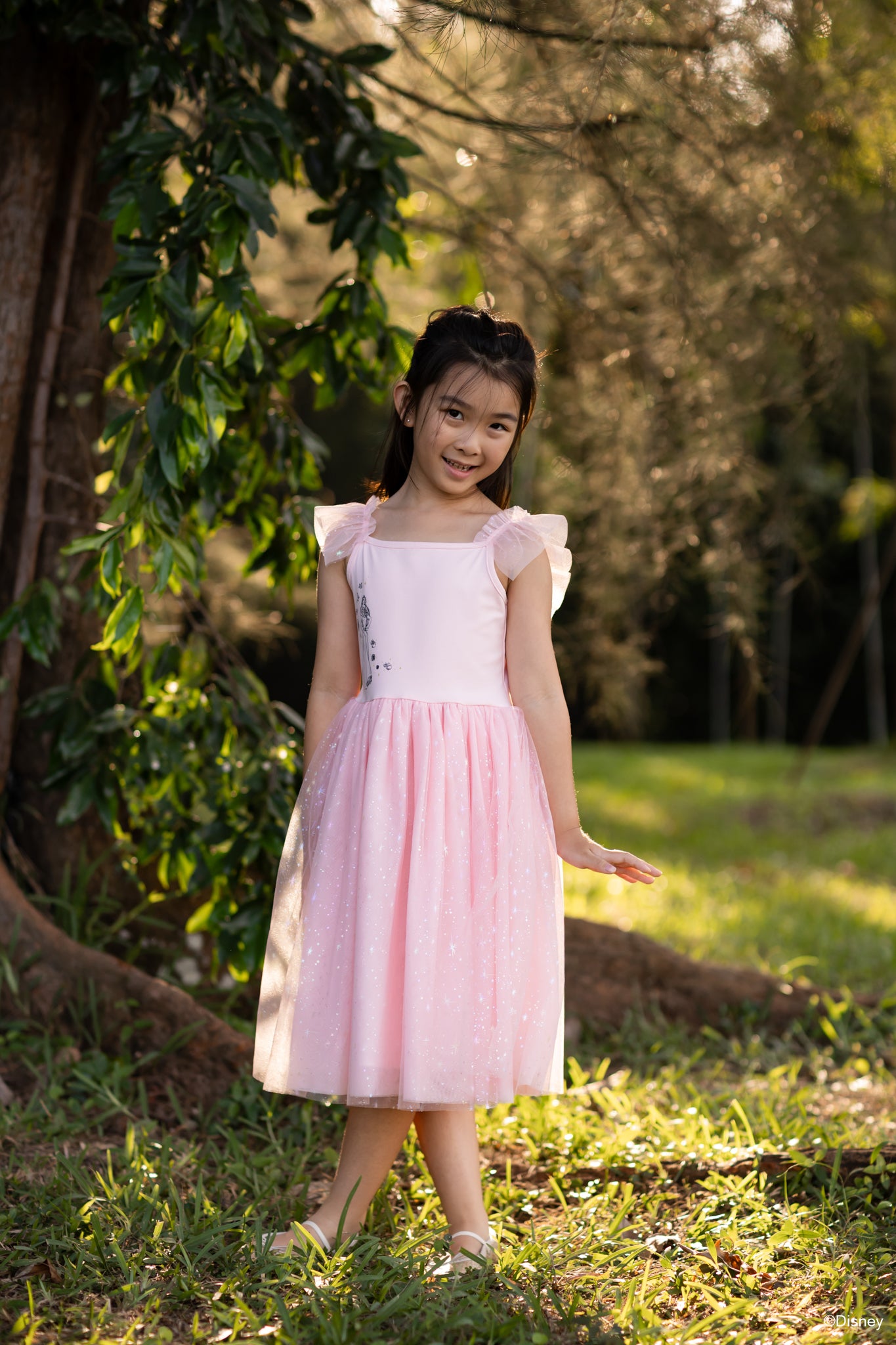 Colette Dress - Dazzling Aurora