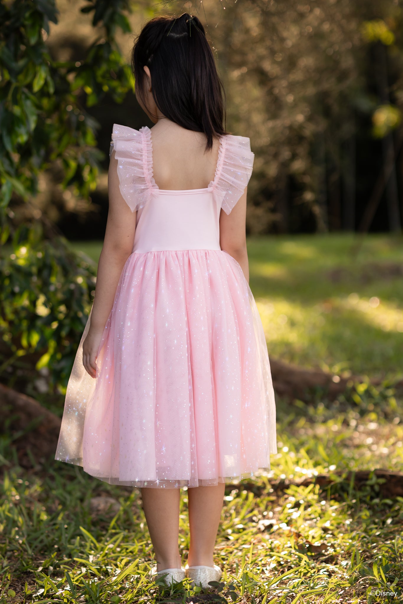 Colette Dress - Dazzling Aurora