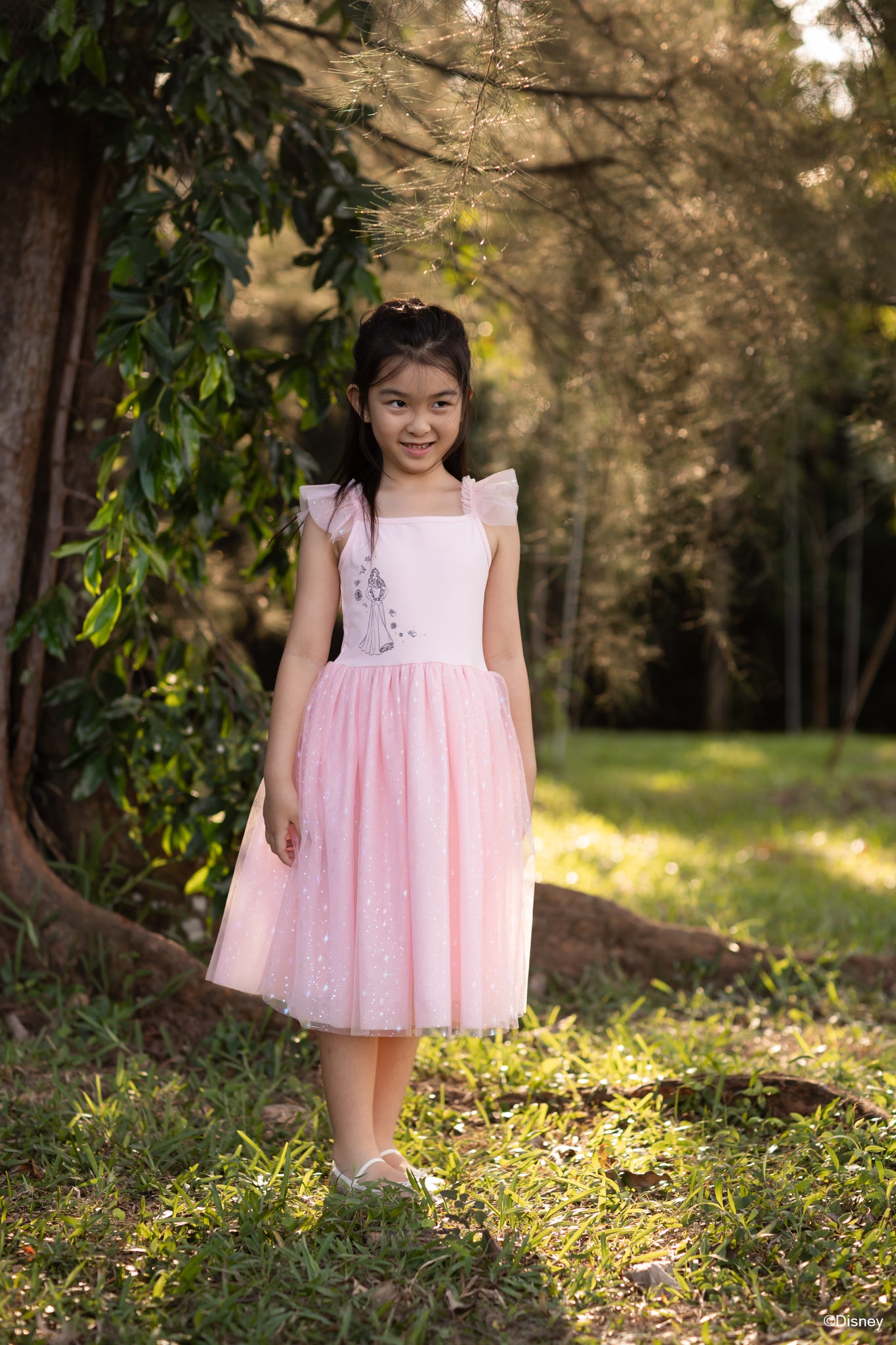 Colette Dress - Dazzling Aurora
