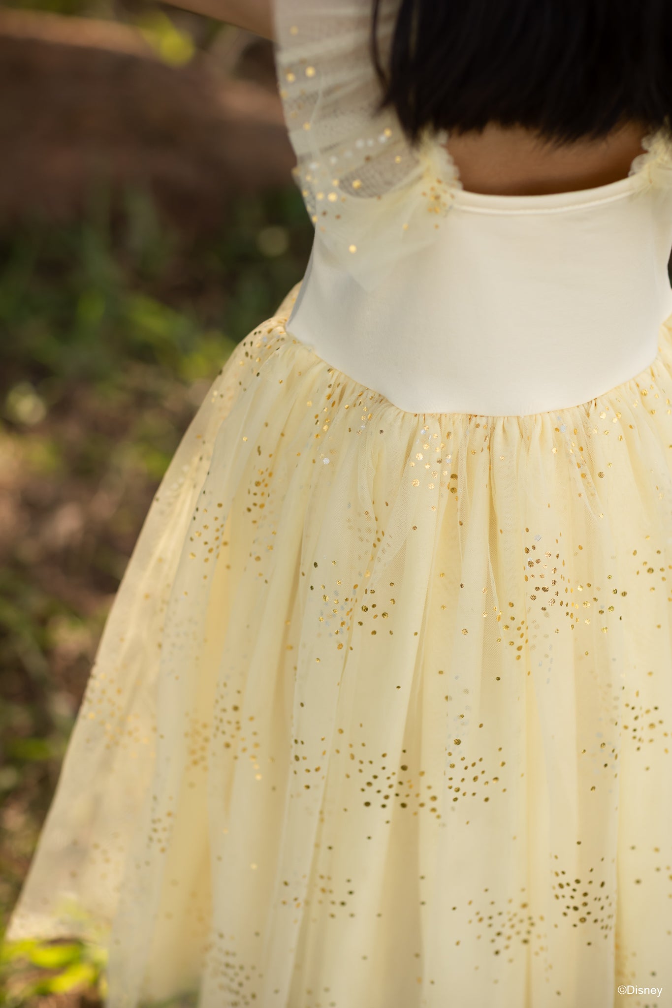 Colette Dress - Enchanted Belle