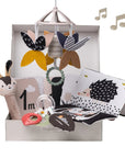 Newborn Black and White Kit