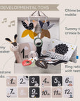 Newborn Black and White Kit