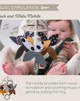 Newborn Black and White Kit