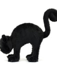 Spookipaws Cat