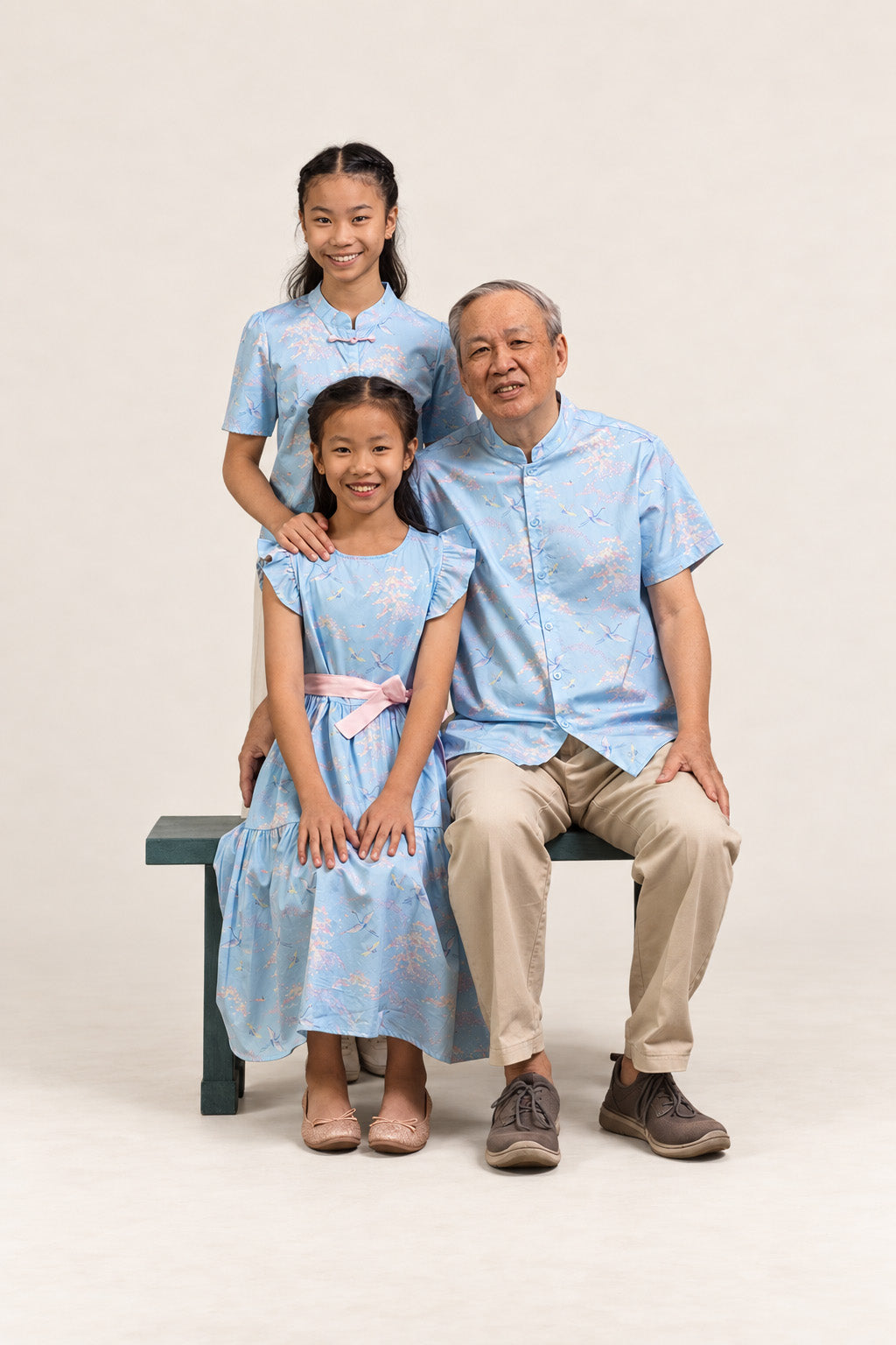 Ashley Top - Blue Cranes family