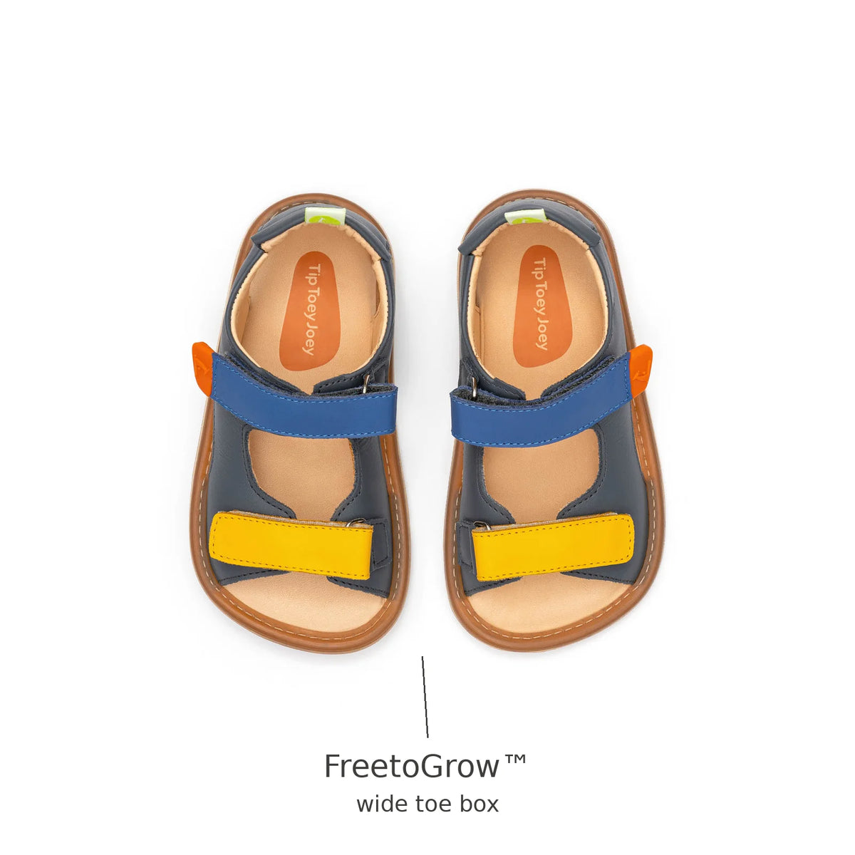 Top view of Tip Toey Joey Explore Sandals in Slate Blue / Caja / Blue Tang showing the wide FreetoGrow toe box