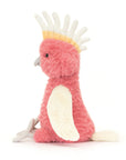 Squawkatoo