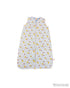 Sleeping Bag - Blue Trains Pooh