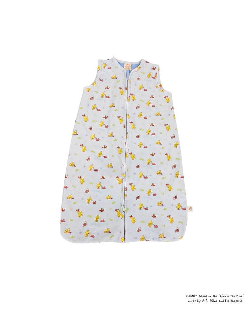 Sleeping Bag - Blue Trains Pooh