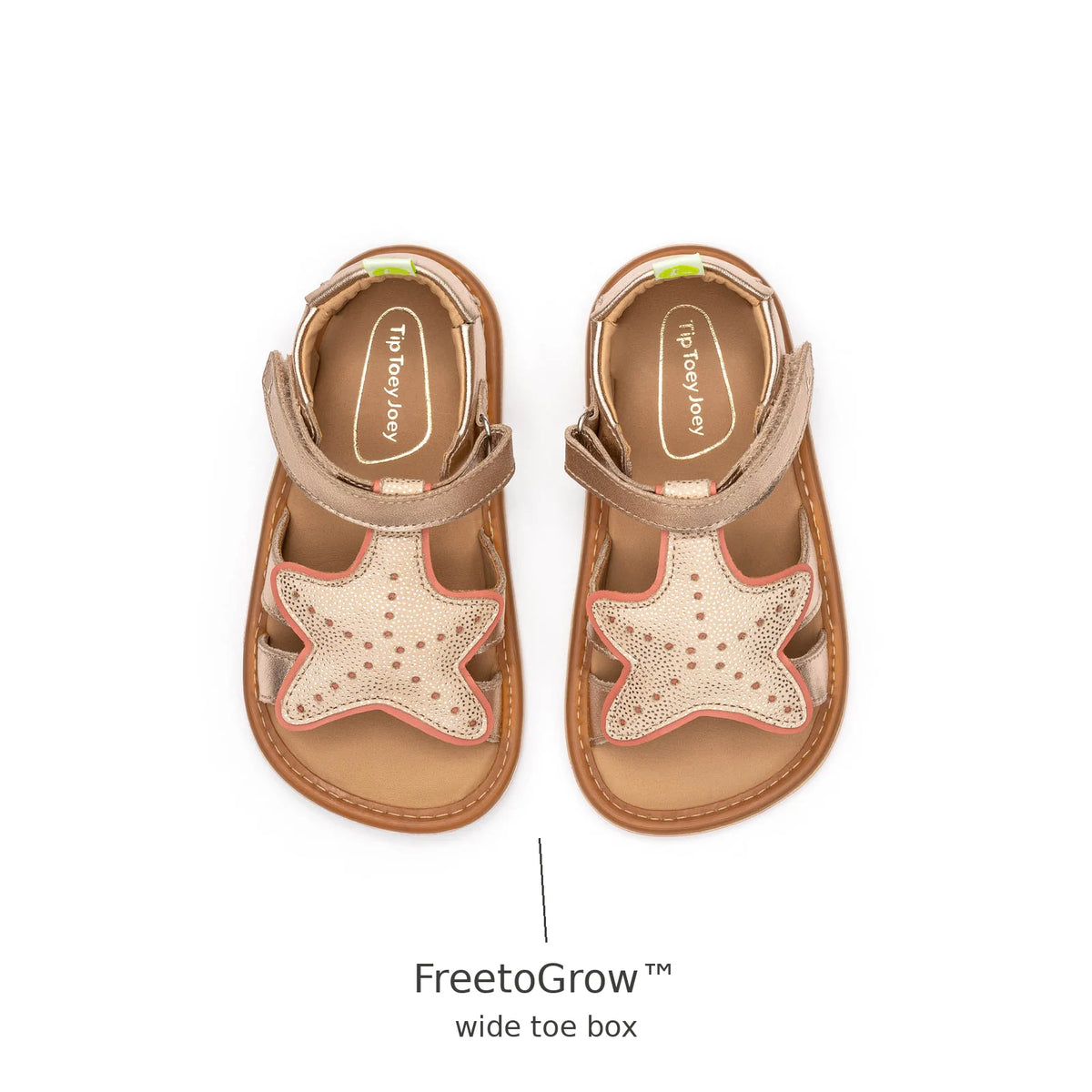 Top view of Tip Toey Joey Starfish Sandals in Metallic Salmon / Rosa Seco / Golden Sugar showing the wide FreetoGrow toe box