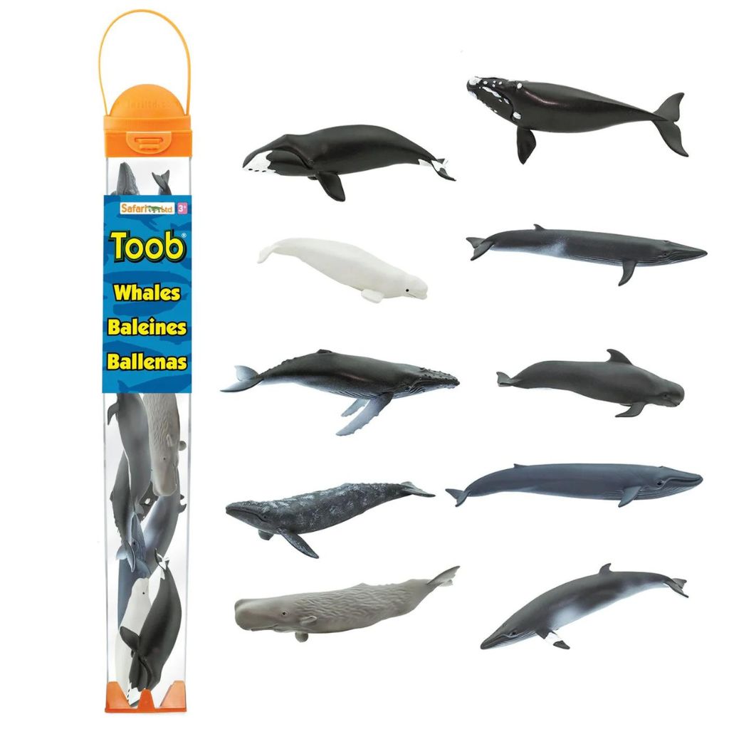 Whale TOOB®