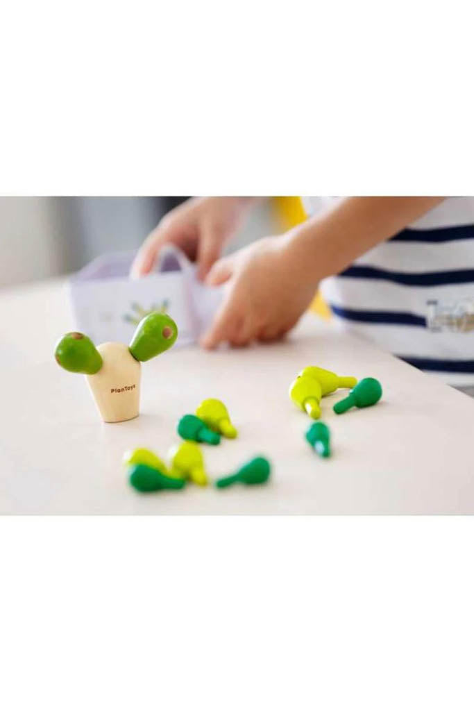 Mini Balancing Cactus (Kids Playing)
