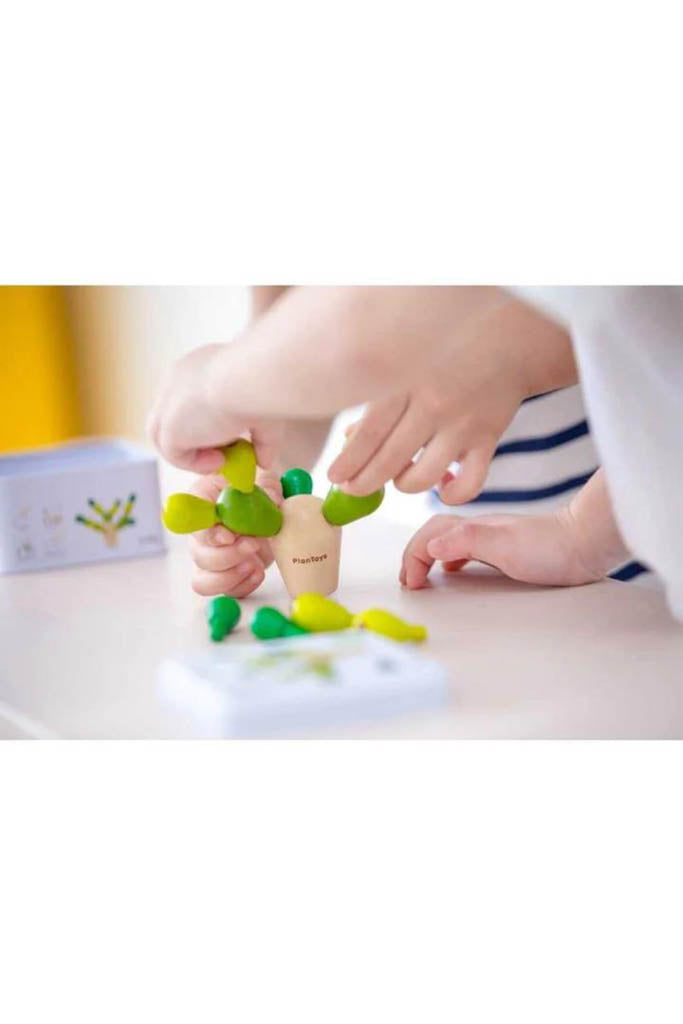 Mini Balancing Cactus (Kids Playing)