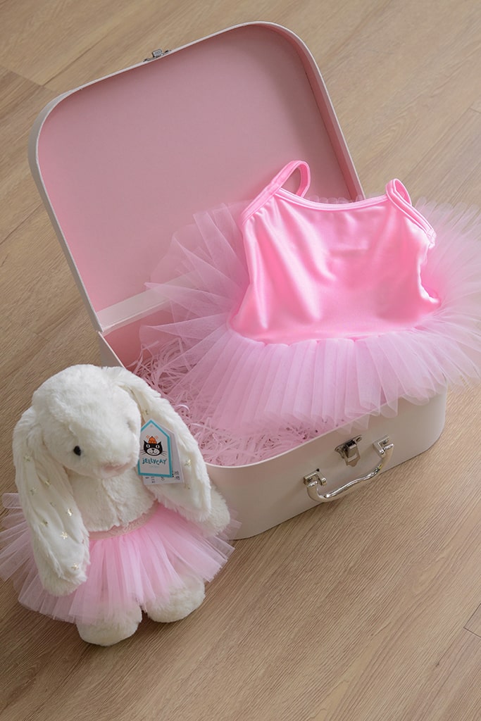 Ballerina Suitcase with Tutu and Plushie Tutu - 12M