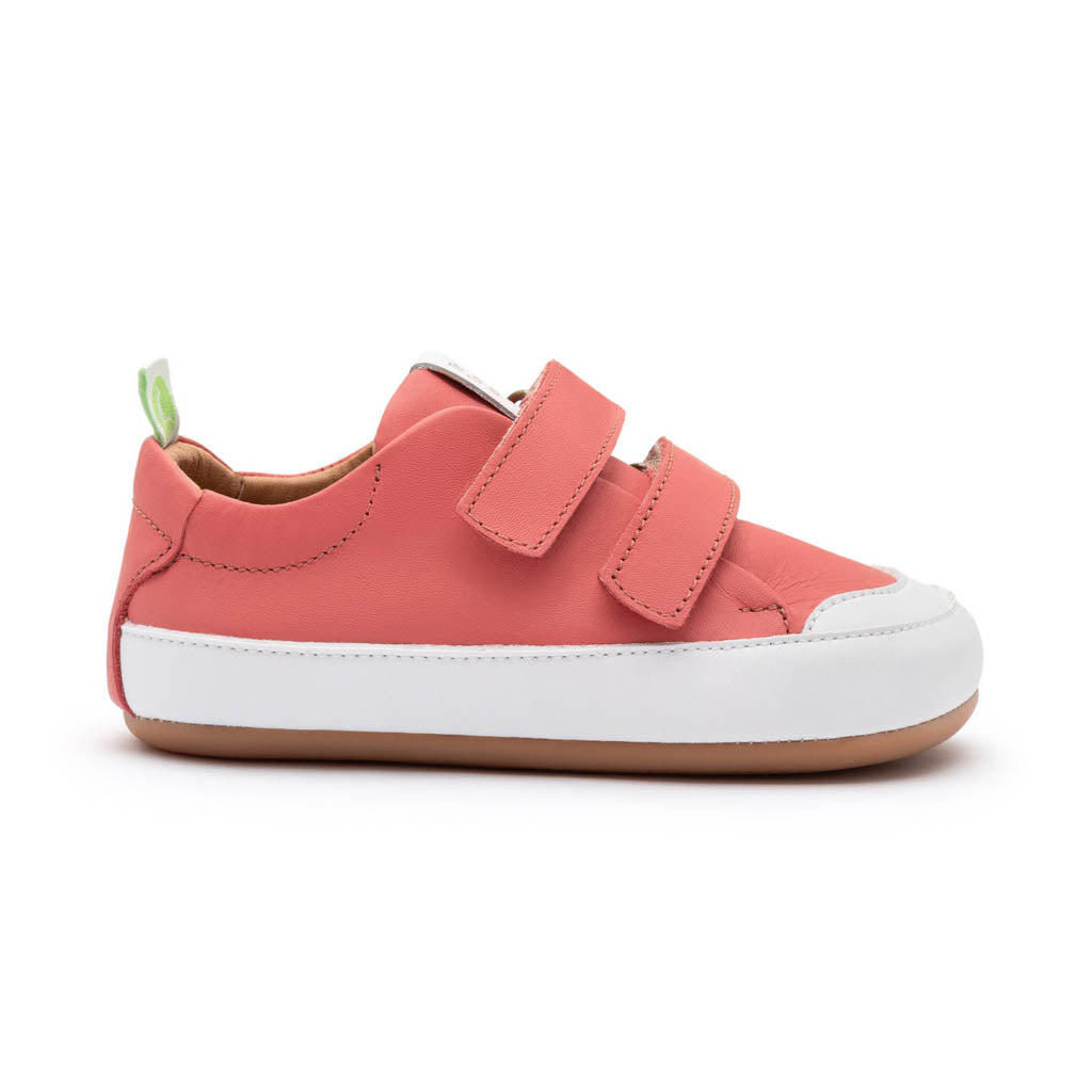 Tip Toey Joey Bossy Sneakers - Coral Matte / White