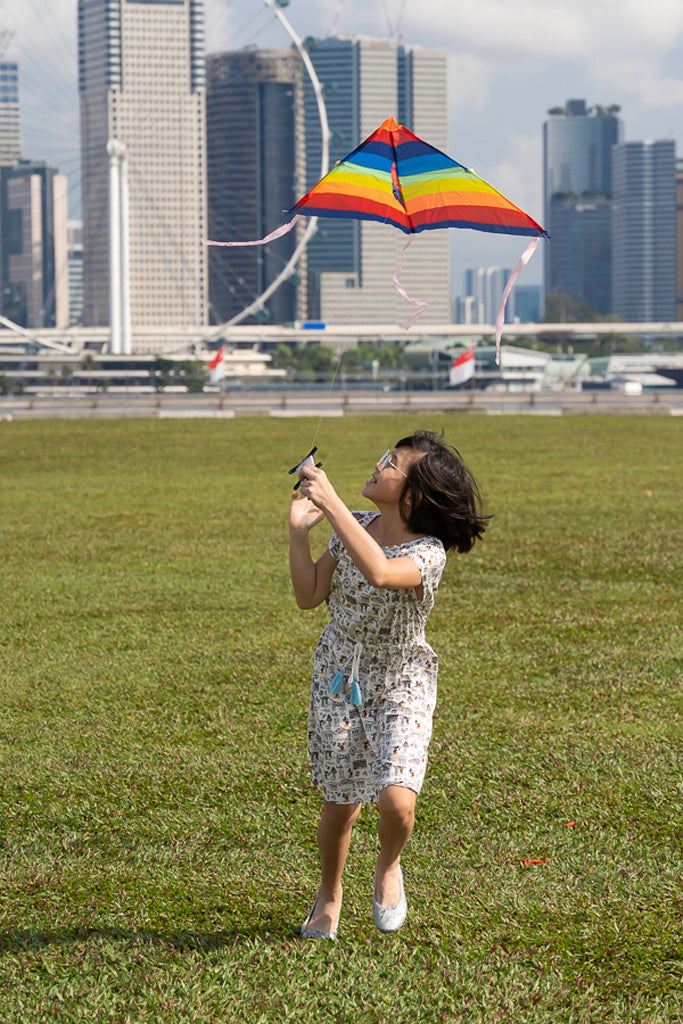 Hayley Dress - Hello from Singapore! | Disney x elly Home 2022 | The Elly Store Singapore