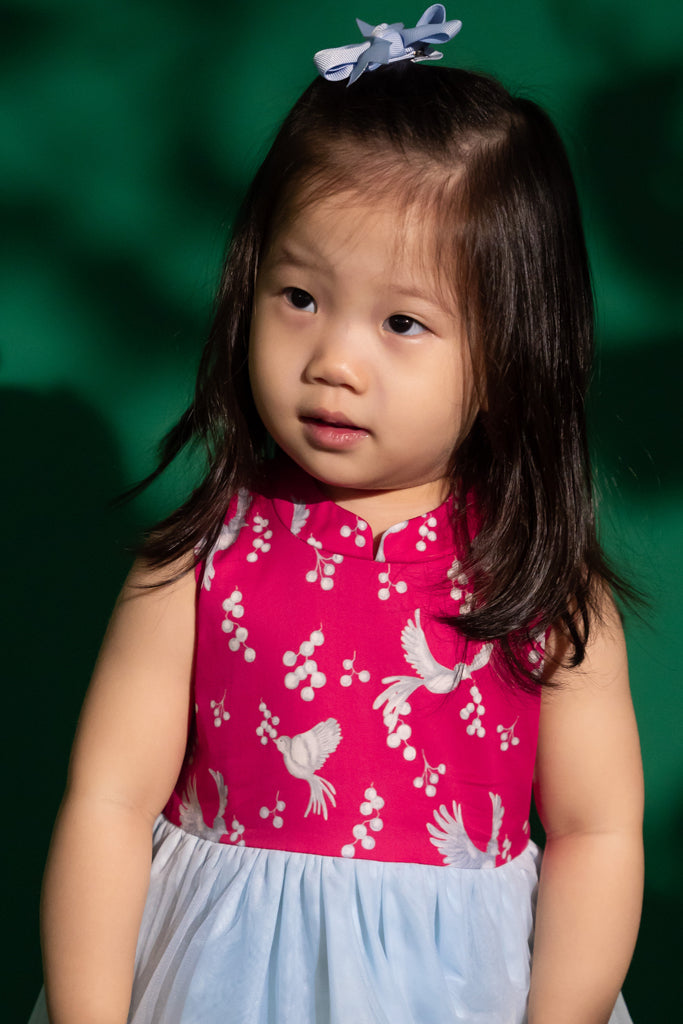 Kyra Dress - Birds | Baby Clothing | The Elly Store Singapore