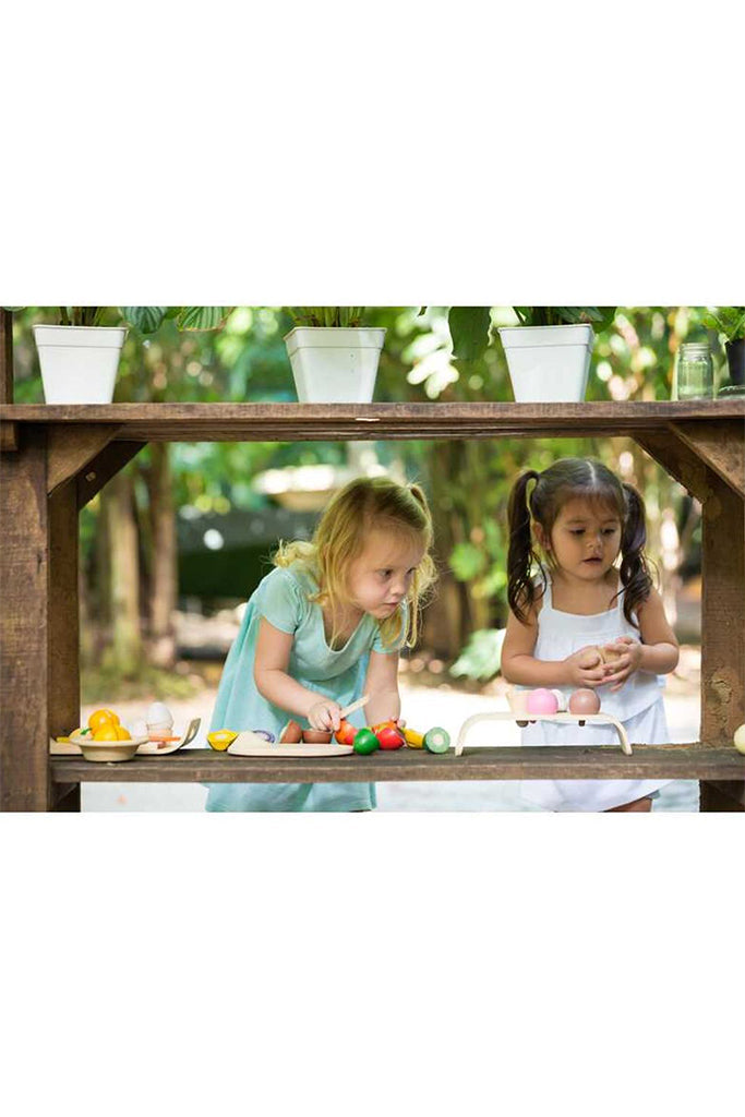 Plan Toys - Assorted Fruits & Vegetable (Playing)