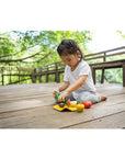 Plan Toys - Assorted Vegetable Set (Playing)