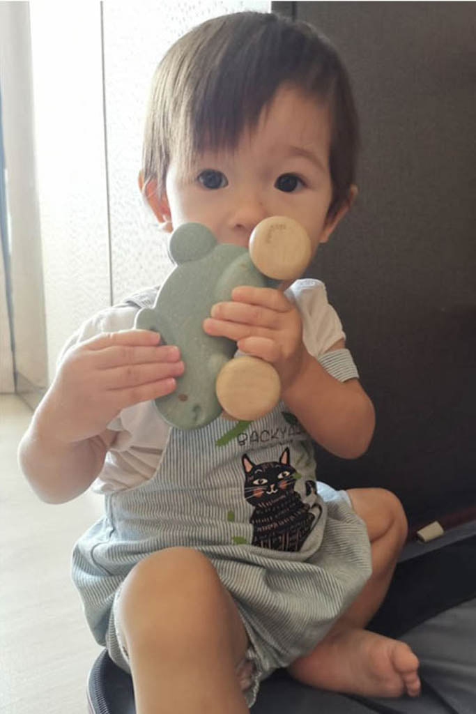 Plan Toys - Push Along Bunny Blue (Holding it) The Elly Store