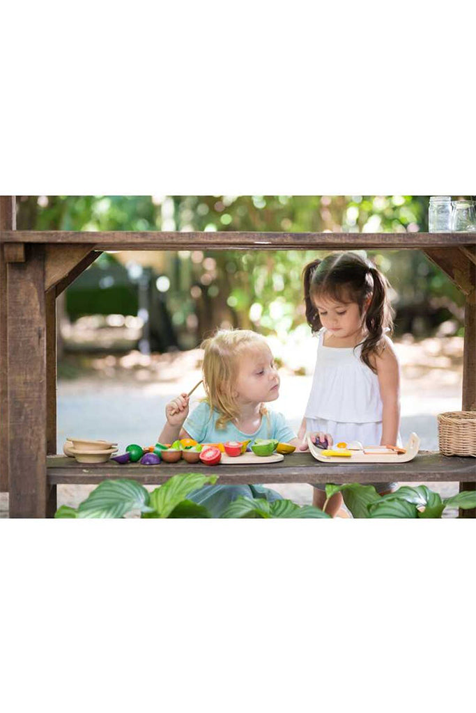 Plan Toys - Assorted Fruits & Vegetable (Playing)