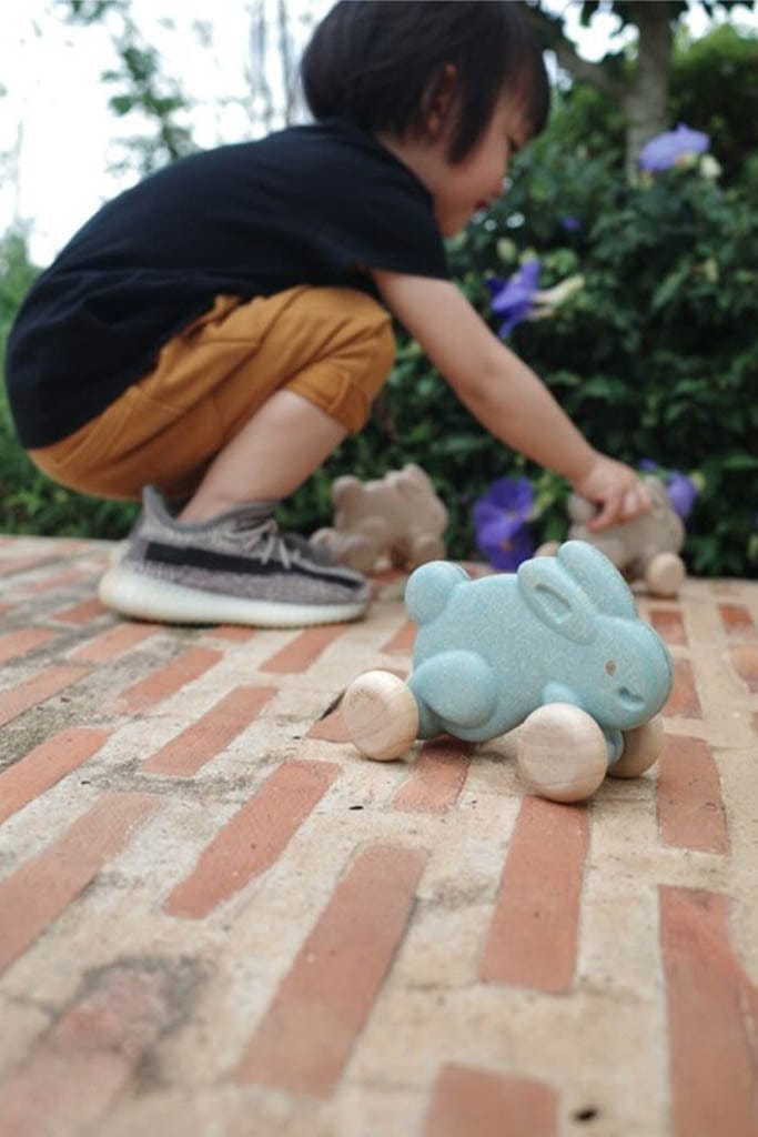 Plan Toys - Push Along Bunny Blue (Side Right)