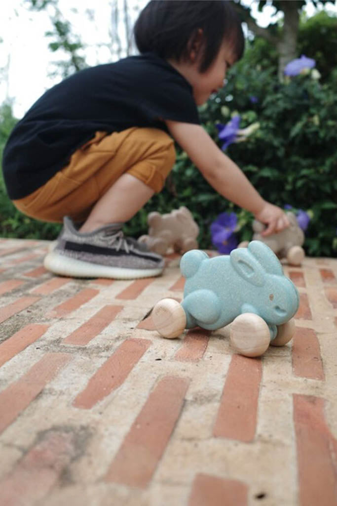 Plan Toys - Push Along Bunny Blue (Side Right)