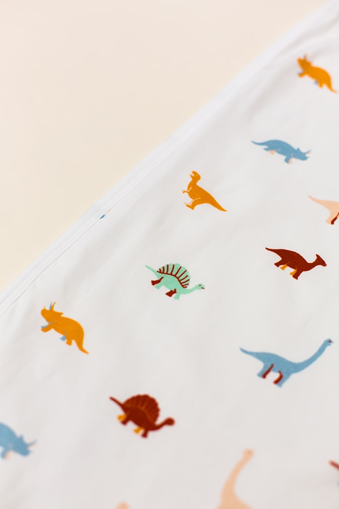 Jersey Blanket - Dino | Ideal for Newborn Baby Gifts | The Elly Store Singapore
