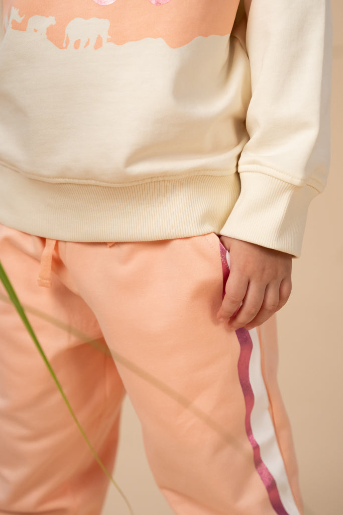 Jogger Pants - Pink Rose Gold Stripes
