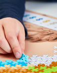 Plus-plus - Puzzle By Number - Peacock 800pcs