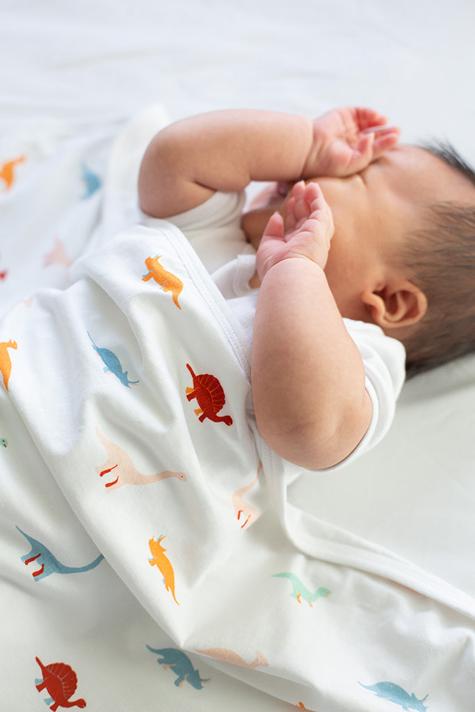 Jersey Blanket - Dino | Ideal for Newborn Baby Gifts | The Elly Store Singapore