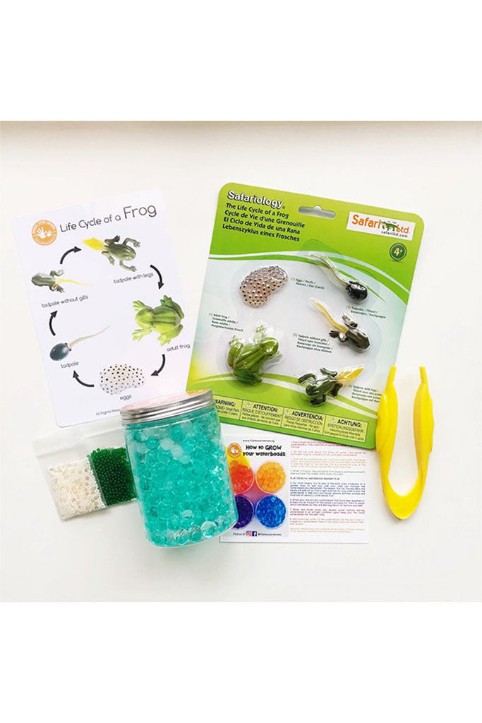 Frog Life Cycle Learning Kit by Tickle Your Senses | Ideal for Sensory Play | The Elly Store Singapore