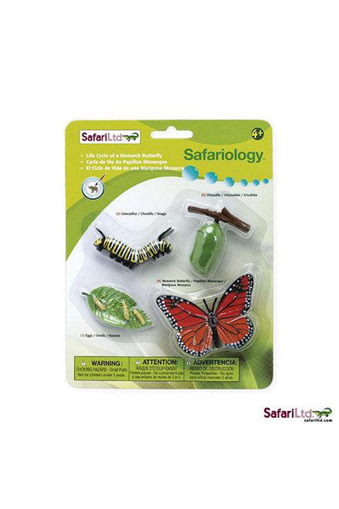 Life Cycle of A Monarch Butterfly by Tickle Your Senses | Ideal for Sensory Play | The Elly Store Singapore